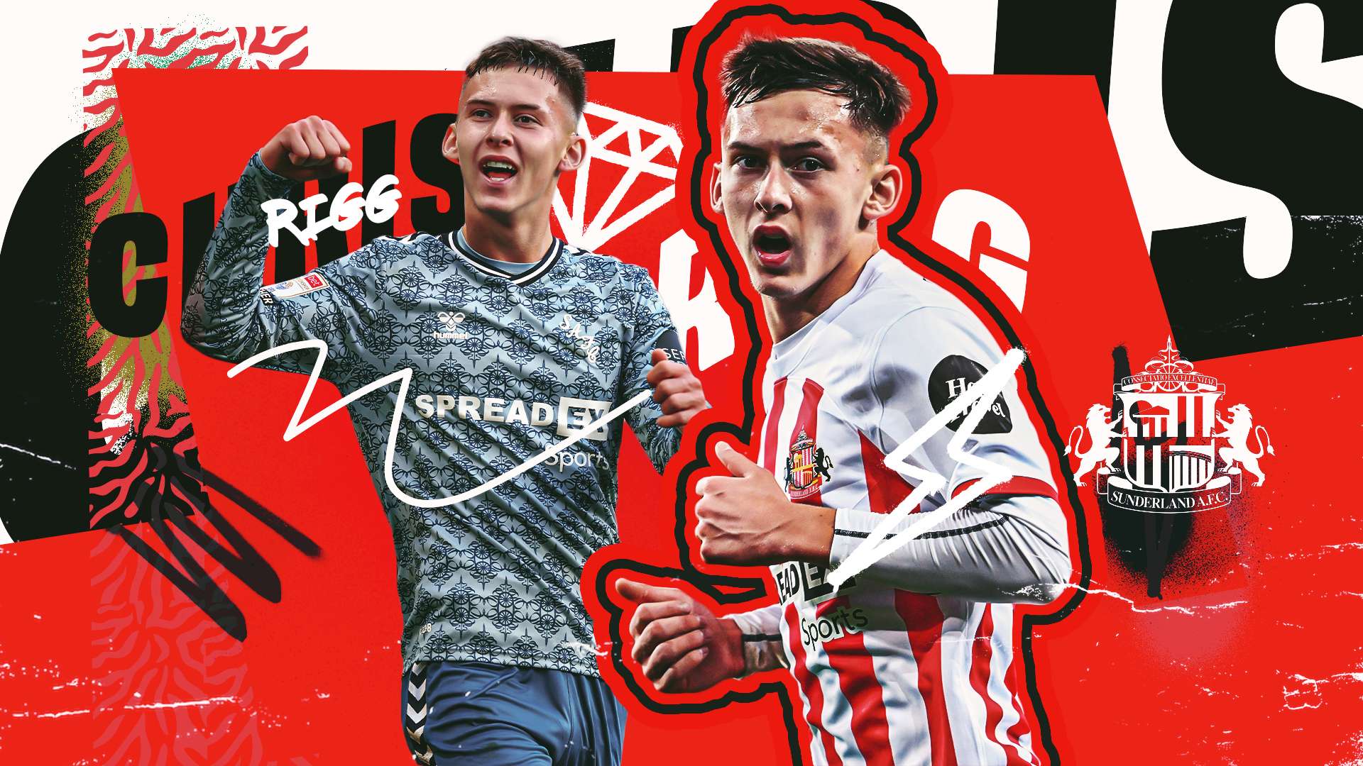 不仅是一个 不仅是一个