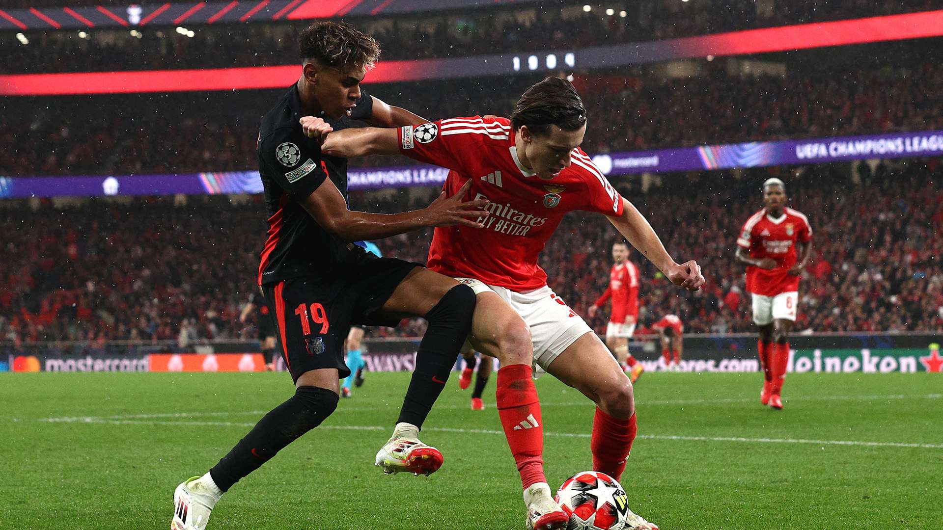 迷们的热烈 迷们的热烈