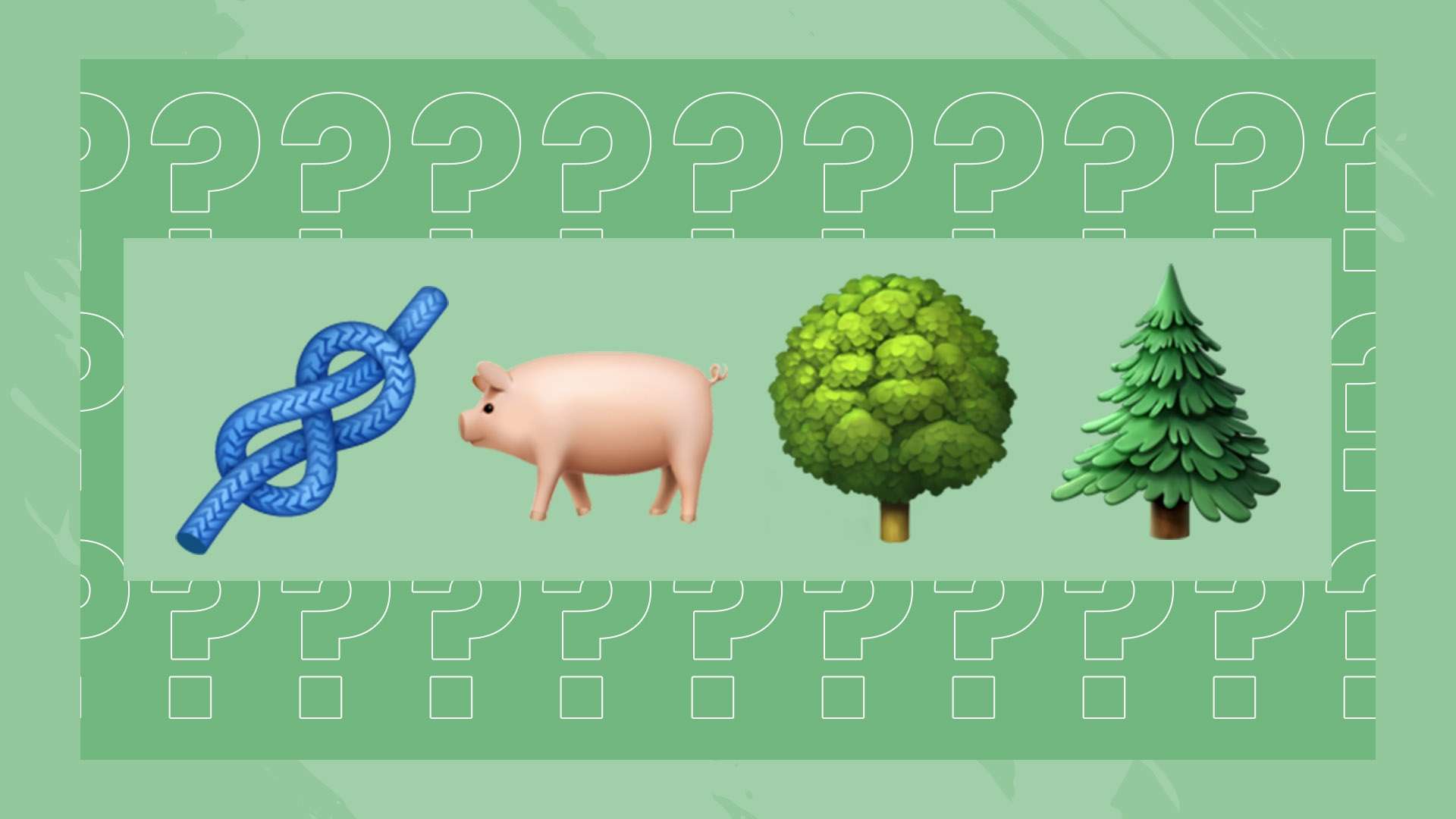 综上所述 综上所述