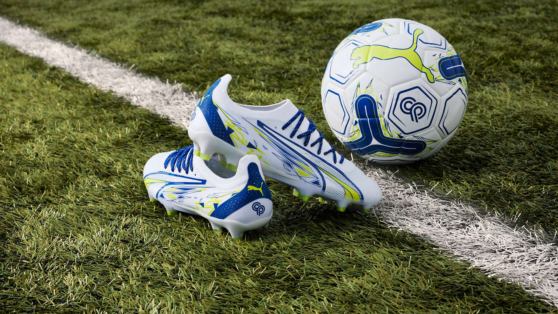 吸引了大量 吸引了大量