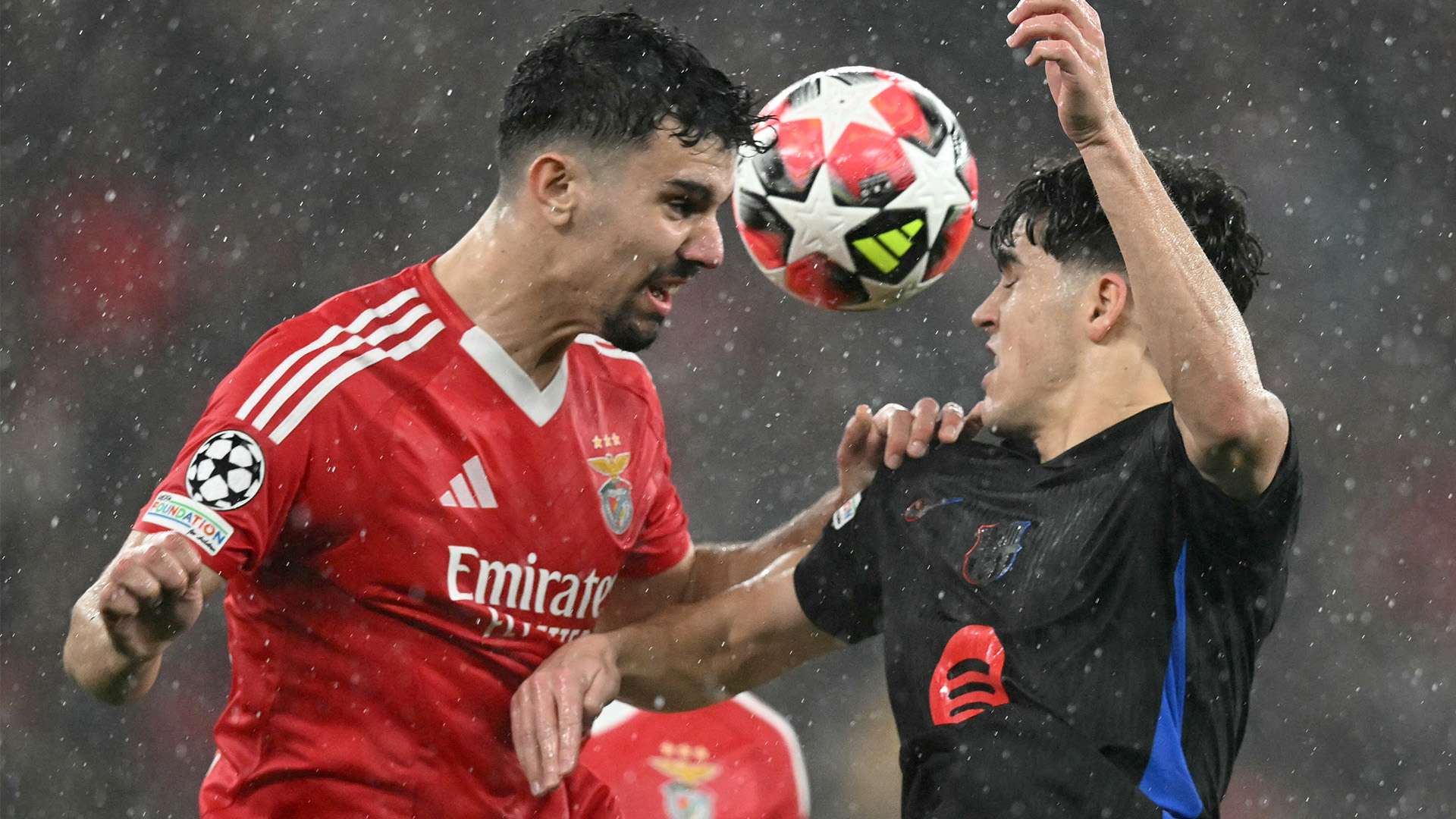 案例分析 案例分析