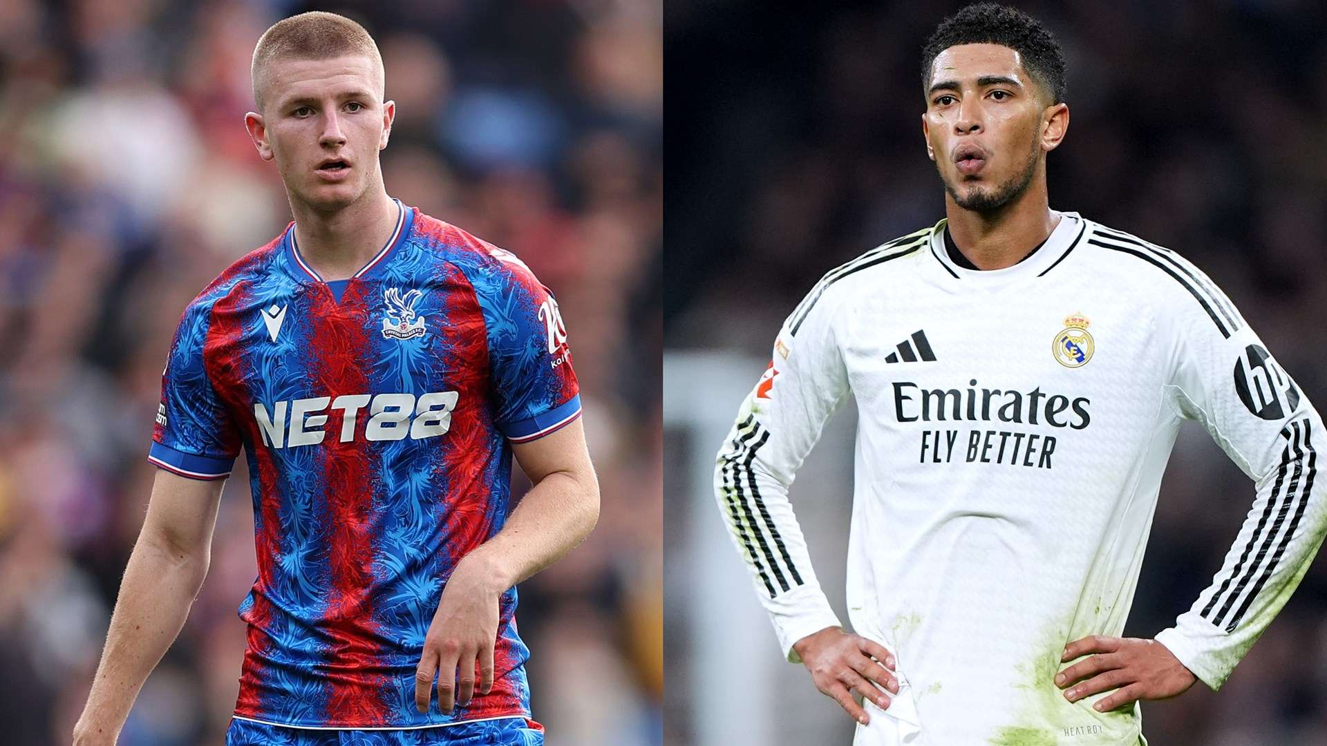 在与土耳其 在与土耳其